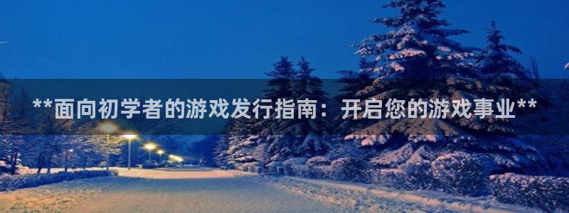 顺盈app是真的吗：**面向初学者的游戏发行指南：开启您的游戏事业**