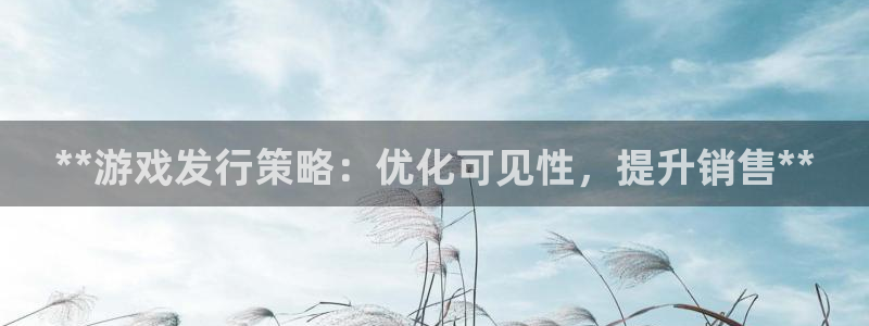 顺盈app是真的吗还是假的：**游戏发行策略：优化可见性，提升销售**