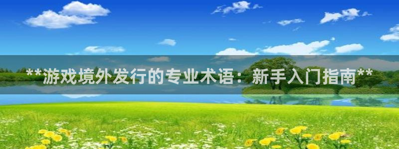顺盈娱乐公司介绍图片：**游戏境外发行的专业术语：新手入门指南**