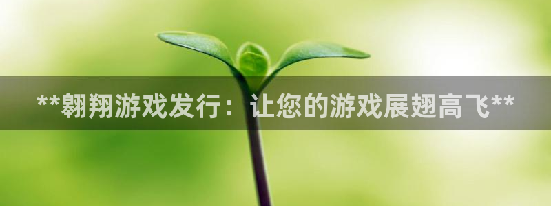 顺盈娱乐平台提现被关闭怎么回事儿啊安全吗：**翱翔游戏发行：让您的游戏展翅高飞**