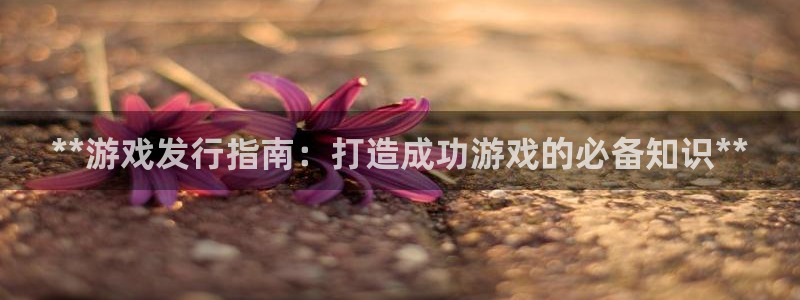 顺盈娱乐平台注册流程图片高清：**游戏发行指南：打造成功游戏的必备知识**