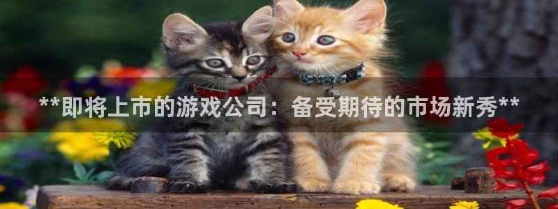 顺盈娱乐登录平台是什么意思呀：**即将上市的游戏公司：备受期待的市场新秀**