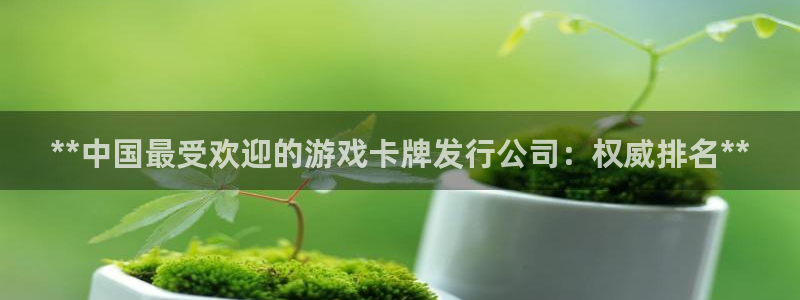 顺赢是什么意思：**中国最受欢迎的游戏卡牌发行公司：权威排名**