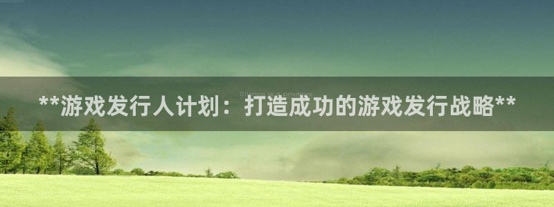 顺盈平台注册流程图：**游戏发行人计划：打造成功的游戏发行战略**