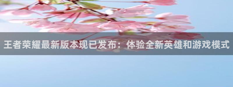 顺盈娱乐公司介绍：王者荣耀最新版本现已发布：体验全新英雄和游戏模式