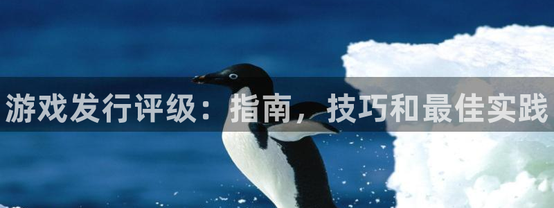顺赢大师软件可不可靠：游戏发行评级：指南，技巧和最佳实践