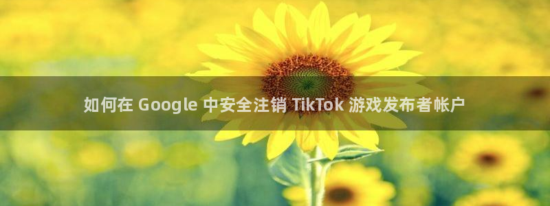 顺盈注册：如何在 Google 中安全注销 TikTok 游戏发布者帐户