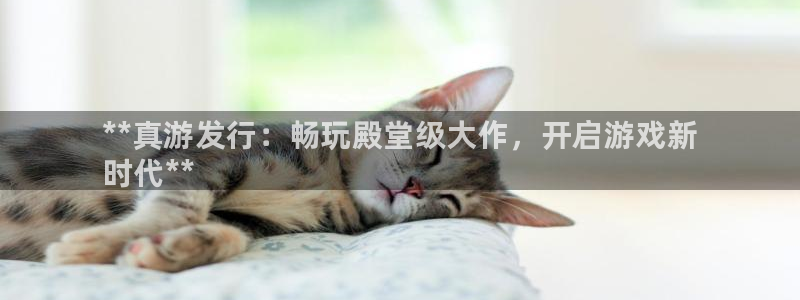 顺盈娱乐登录平台是什么意思呀：**真游发行：畅玩殿堂级大作，开启游戏新
时代**