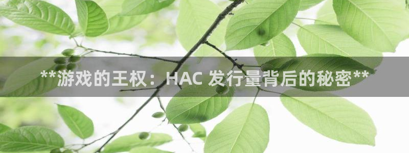 顺盈网络科技有限公司招聘：**游戏的王权：HAC 发行量背后的秘密**