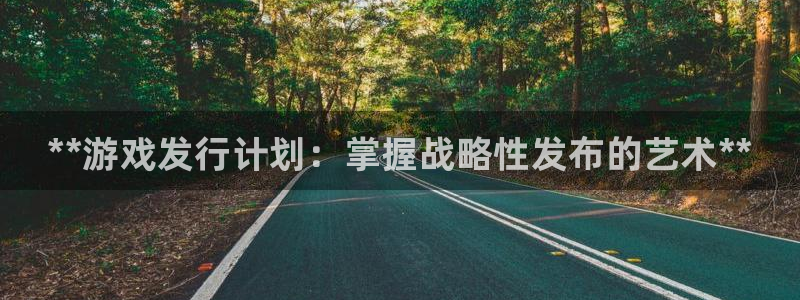 顺盈娱乐平台最新活动消息：**游戏发行计划：掌握战略性发布的艺术**