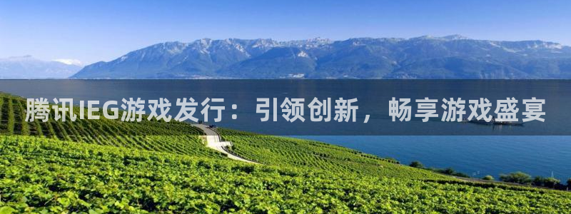 顺盈电子有限公司：腾讯IEG游戏发行：引领创新，畅享游戏盛宴