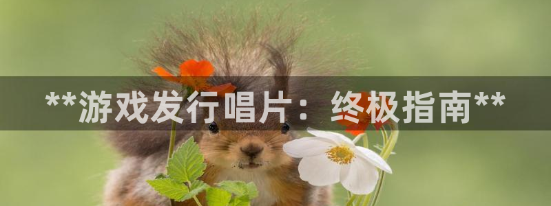 顺盈娱乐平台注册流程图：**游戏发行唱片：终极指南**