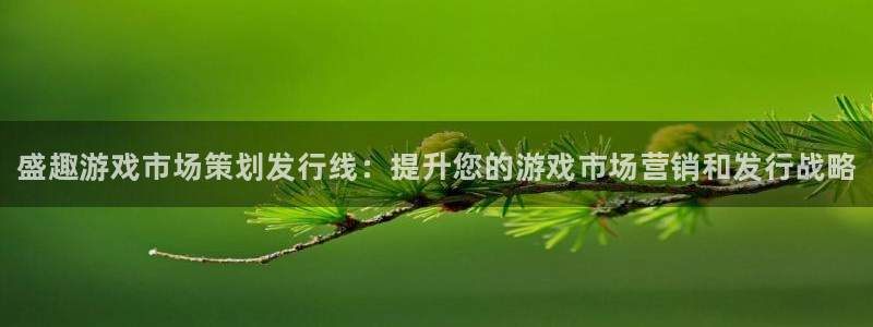 顺盈娱乐3.8.2.2.2.3安：盛趣游戏市场策划发行线：提升您的游戏市场营销和发行战略