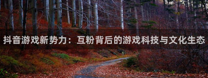 顺盈娱乐违法吗：抖音游戏新势力：互粉背后的游戏科技与文化生态