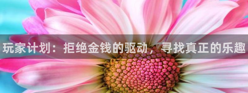 顺盈平台代理：玩家计划：拒绝金钱的驱动，寻找真正的乐趣