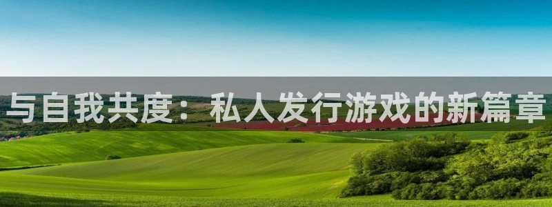 顺盈app是什么东西：与自我共度：私人发行游戏的新篇章