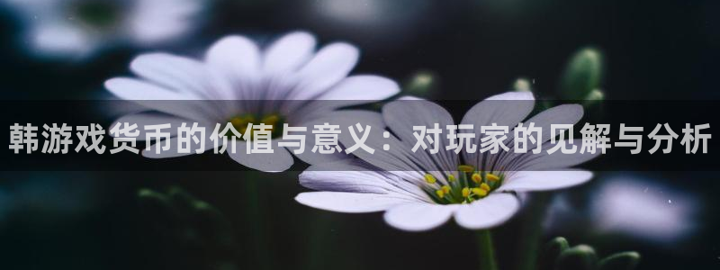 顺盈娱乐平台最新活动信息