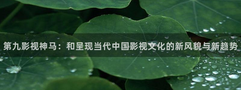 爱播剧4480首播影院：第九影视神马：和呈现当代中国影视文化的新风貌与新趋势