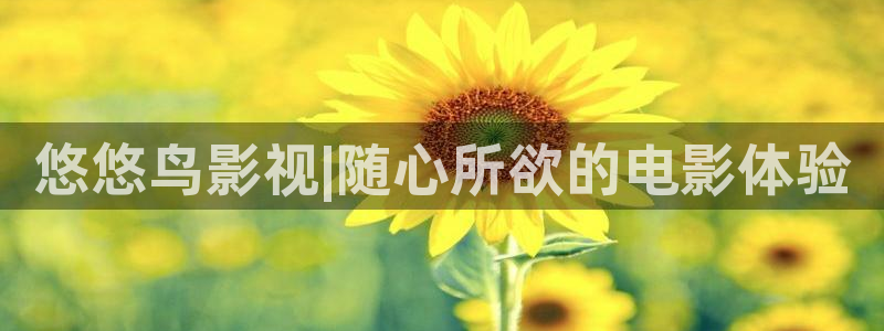 6080首播影院：悠悠鸟影视|随心所欲的电影体验