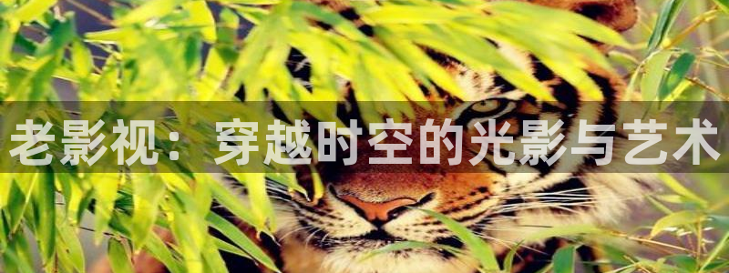 yy44首播影院