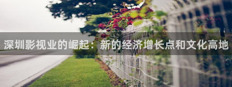 b8yy首播影院：深圳影视业的崛起：新的经济增长点和文化高地